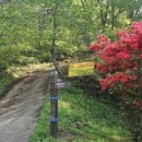 겸백면사무소 화장실 이미지