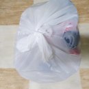 마산아구찜 이미지