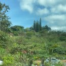 금빛가든 이미지