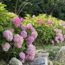 GS25 삼락공원점 이미지