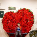 학가산우래자연휴양림 야영장 이미지