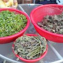 휴양림약수 이미지