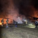 서구농장 이미지