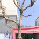 탄천상로151번길 이미지