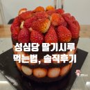 구음2 | 성심당 케익 부띠끄 대기 시간 딸기시루 먹는 법 후기 튀소구마 추천