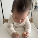 (주)코엔터테인먼트 | 8개월 아기 성장일기💜 잡고 일어서기 / 크루징 / 어린이집 입소 후 퇴소