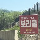 보리울 | 홍천캠핑 노지캠핑 애견동반가능 보리울캠핑장 솔직후기