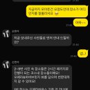 조금리 | [시드니웨딩스냅 촬영후기 _레이지필름] 시드니를 기억하는 최고의 방법! 🫨