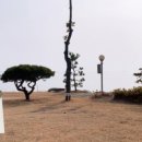 보성오토 이미지