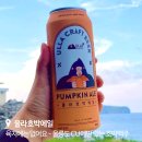 CU 저동항점 이미지