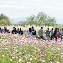 김대중센터 관광안내소 이미지