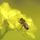 김현수한의원 이미지