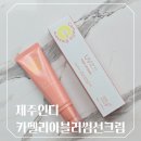 스킨블러썸 | 제주인디 카멜리아 블러썸 선크림 사용 후기 자연스러운 톤업 선크림 추천