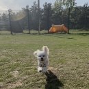 원포공원 이미지