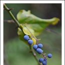 전망좋은곳 이미지