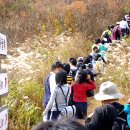 영신중학교 이미지