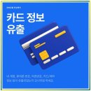 핀브릿지 이미지