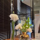 뮬피부과의원 | 부산피부과전문의가 말하는 연예인 리프팅 관리 비결, 왜 여전히 울써마지일까?