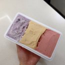 대석4길 | 단양 구경시장 먹거리 아로카 수제 아이스크림 아기도 반한 젤라또