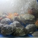 명품수산 이미지