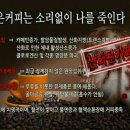 디와이커피