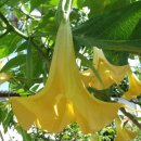 박이농장 이미지