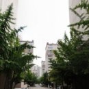 호계럭키 이미지