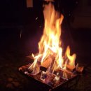 자라섬 중도 이미지