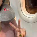 [9월 필리핀 세부-보홀 여행✈️] 5박 7일 DAY1 - 로깨비eSIM/세부퍼시픽 항공/막탄 세부 국제공항/세부...