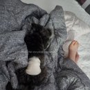 강동큰숲동물병원 이미지