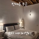 라르고 민박 | 내돈내산 로마숙소 후기 판테온 근처 에어비앤비 위치 최고
