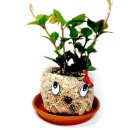 미술(중급) 이미지