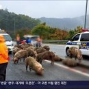 옹기종기 이미지