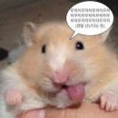 Fly PC Zone | Banff 여행 정보