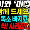 매일 아침 오이 '이렇게' 드세요! 혈당 뚝 떨어지고 독소 다 빠져나갑니다. 이미지