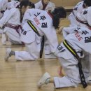 신주례태권도2 이미지