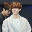 (주)견공 이미지