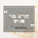 편안한연합의원 이미지