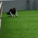 매트코리아 이미지