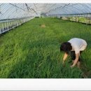 까미농장 이미지