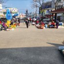 감포공설시장 네이버블로그