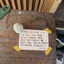 영육일삼