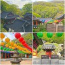 함안 장춘사 석조석가여래삼존좌상 | 경남 함안 가볼만한곳 여름 사찰 장춘사 유명한절 여행