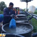 그레이스팜 이미지