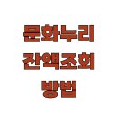 ARS | 문화누리 잔액조회 방법 전화 온라인 홈페이지 농협 ars
