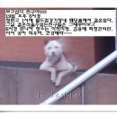 수원-0284 이미지