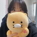 [후기]메종마르지엘라 5ac 도트백 스몰, S56WG0082, 춘식이 인형