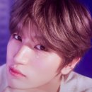 도우(DOW) 이미지