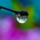 봄을담아 이미지