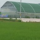 용아농장 이미지